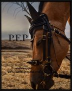 PFP5