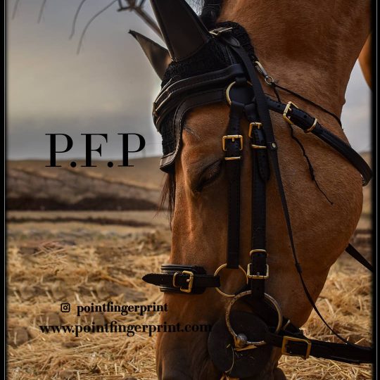 PFP5