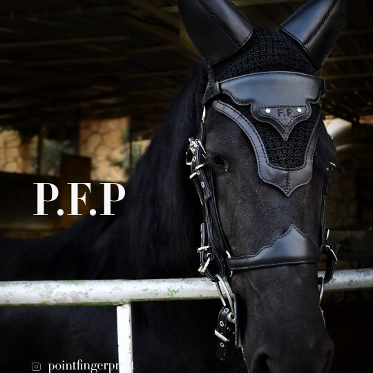 PFP4